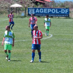 campeonato futebol principal 2013 30